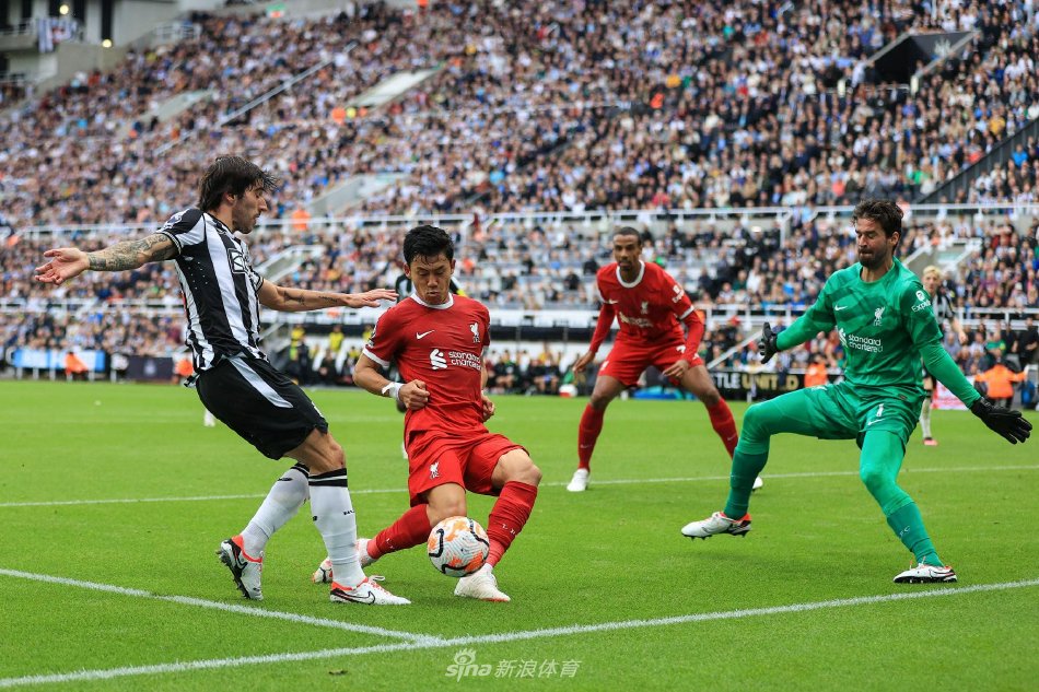 黄蜂团队协 黄蜂团队协